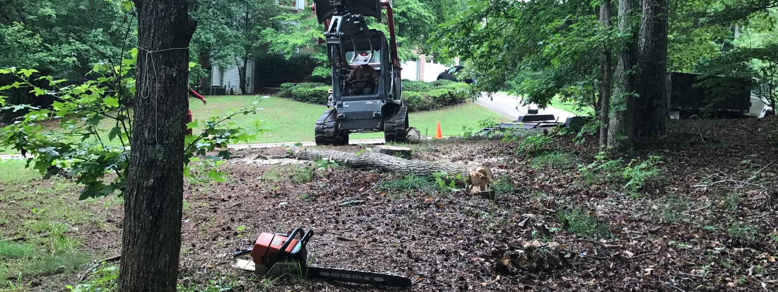 White Oak Tree Service Atlanta Tree Removal Services White Oak Tree Service